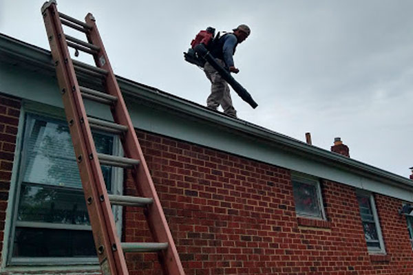 Gutters (Cleaning and new installations)