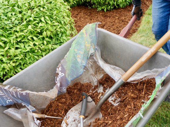 Exploring the Garden: A Guide to the Different Types of Mulch