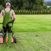 How and When to Mow in Summer: Tips for a Healthy Lawn