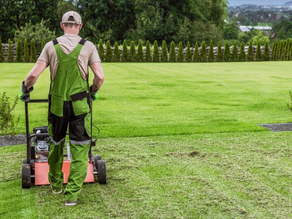How and When to Mow in Summer: Tips for a Healthy Lawn